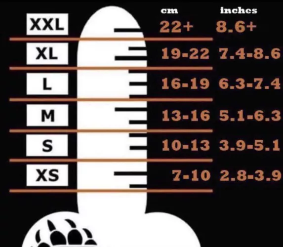 I’ll show you my ass of you beat me (xl)