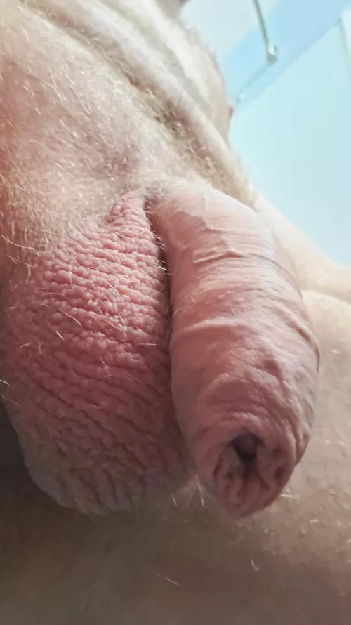 It grows in your mouth. Try it.