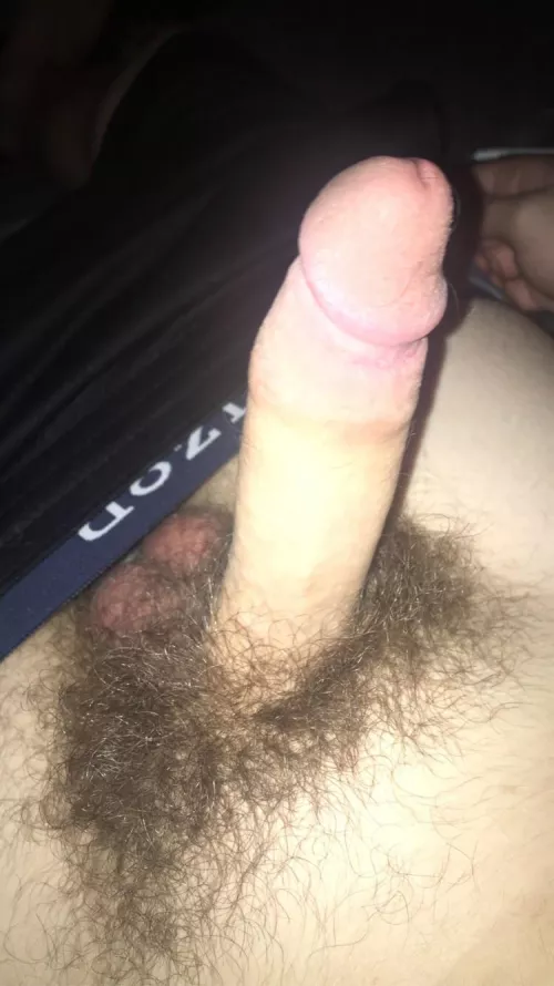 Kinda feel like shaveing it