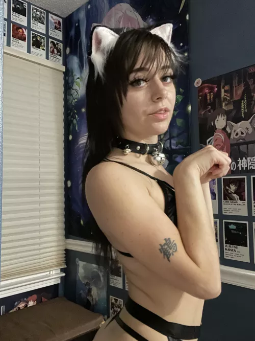 Kitty loves bells, don’t you :3