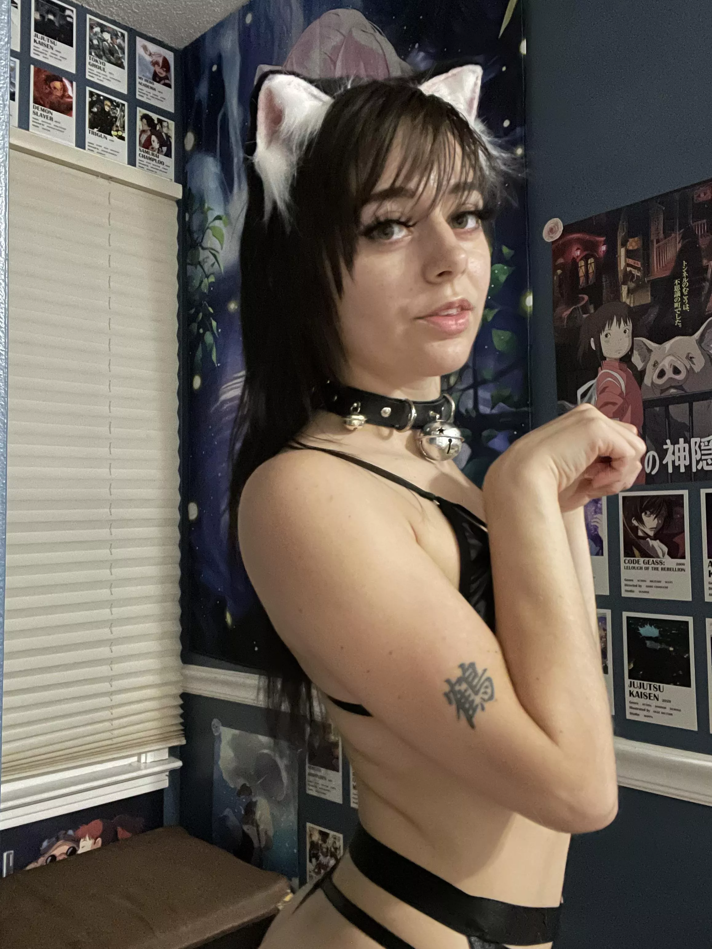 Kitty loves bells, don’t you :3