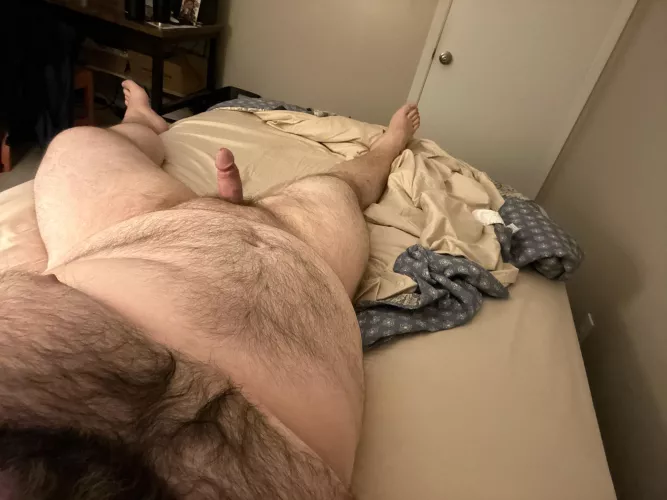 Looking for snuggles