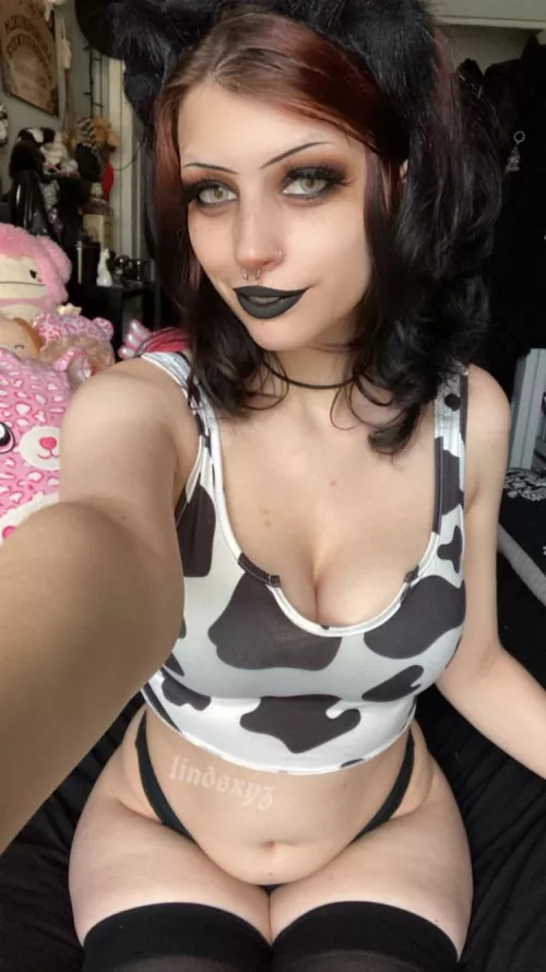 mooo