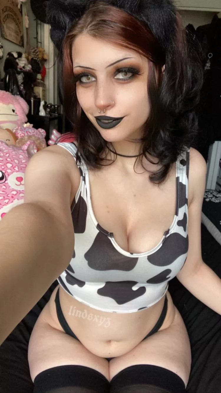 mooo