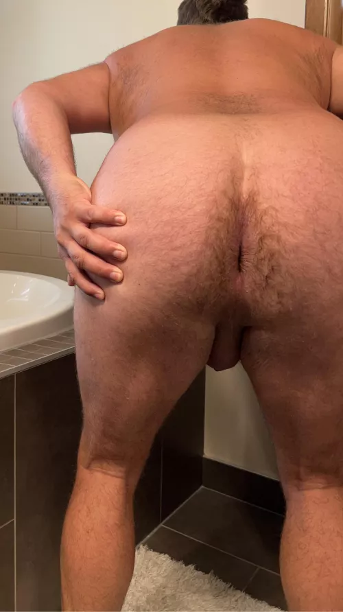 More of my hairy hole [41 Canadian bear dad]