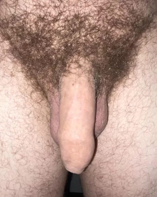 My flaccid hairy dick