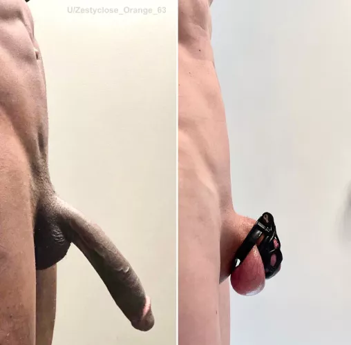 No wonder your locked up Hubby. Time for a smaller cage even?