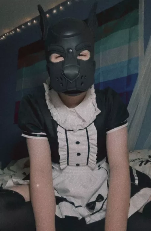 Puppy at your service ~