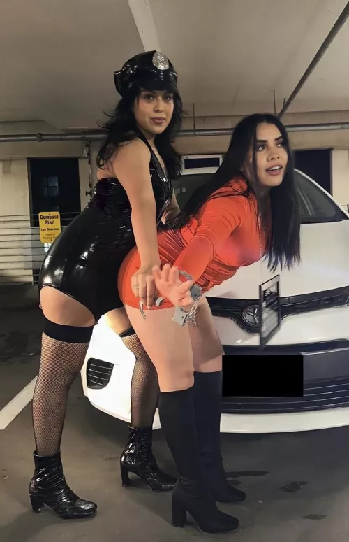 Sexy cop and prisoner