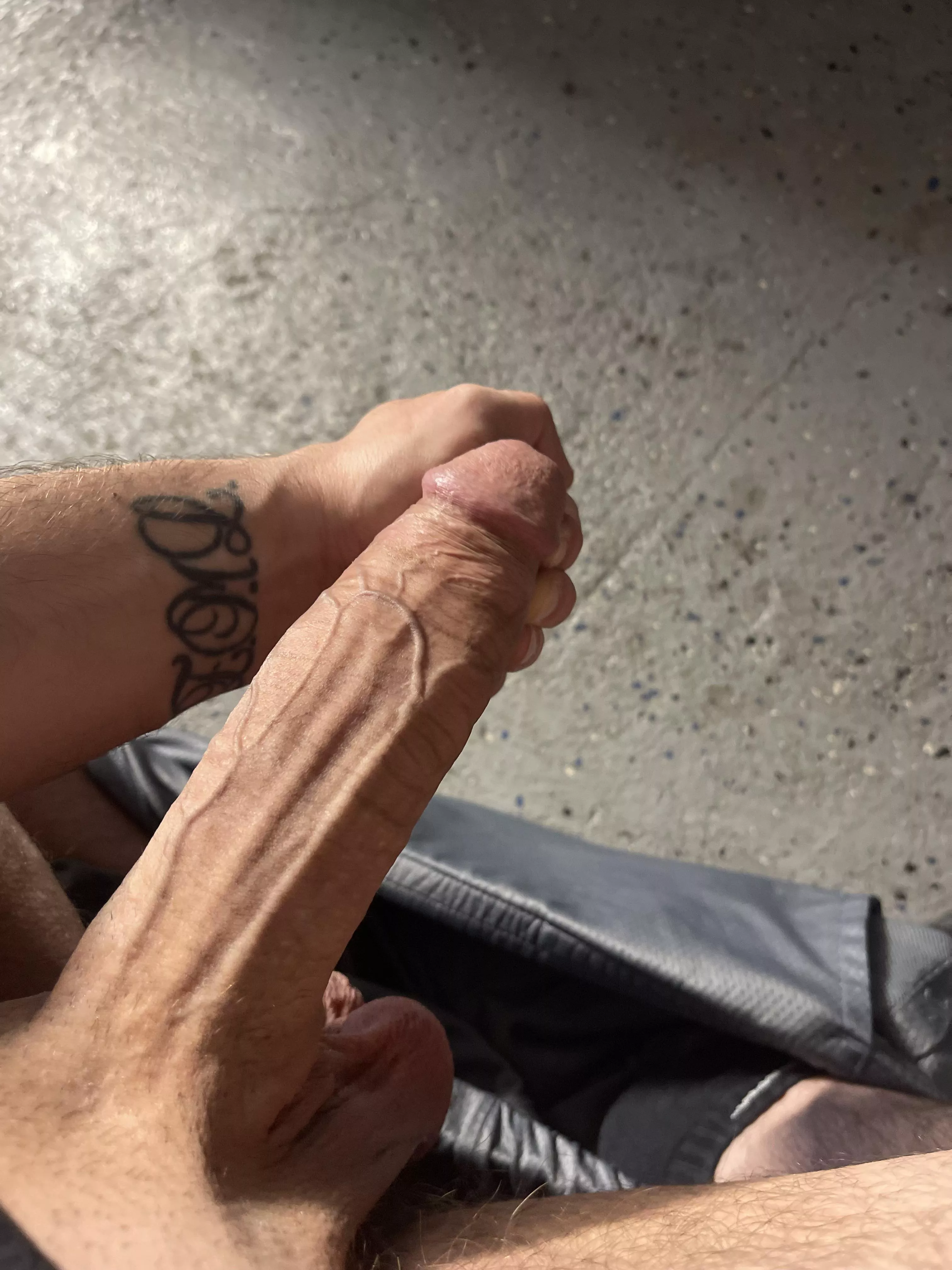 Something long and thick for the feed