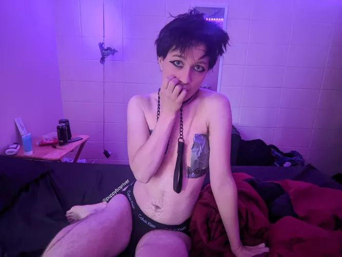 Waiting very patiently to be taken on a walk