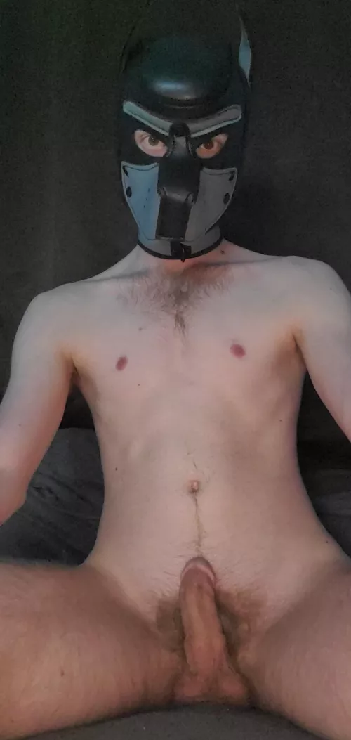 Want a taste or something more?