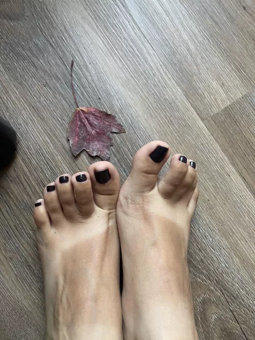 Who doesn’t love a good dark fall color :)