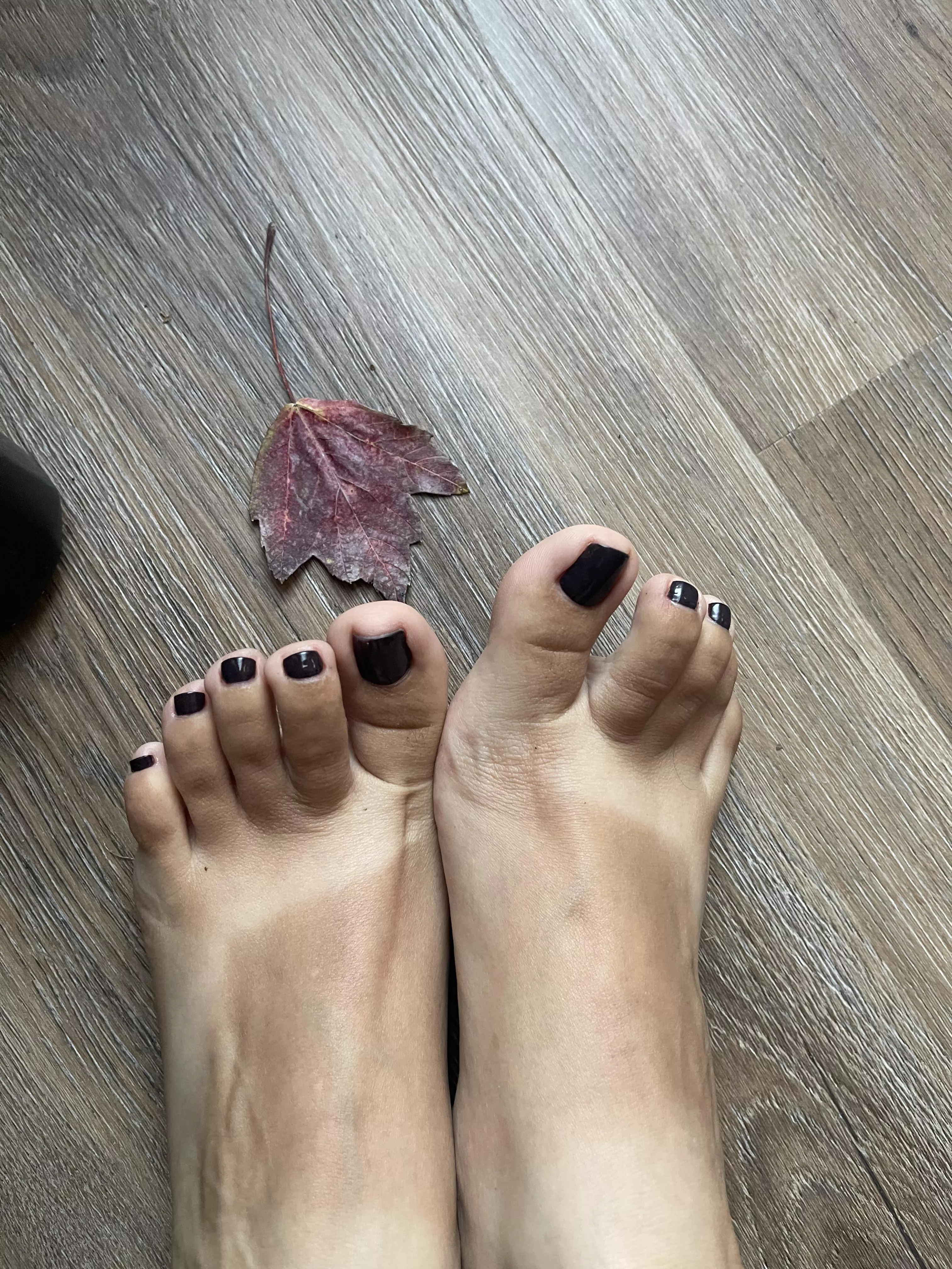 Who doesn’t love a good dark fall color :)