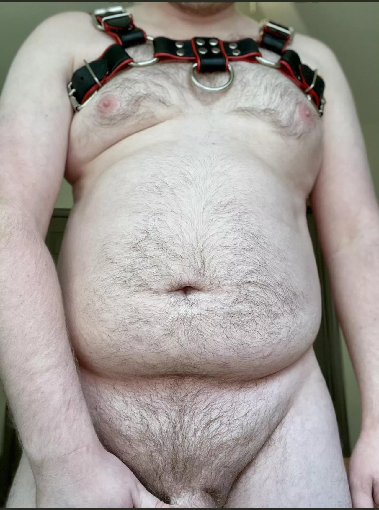 Who else likes wearing harnesses