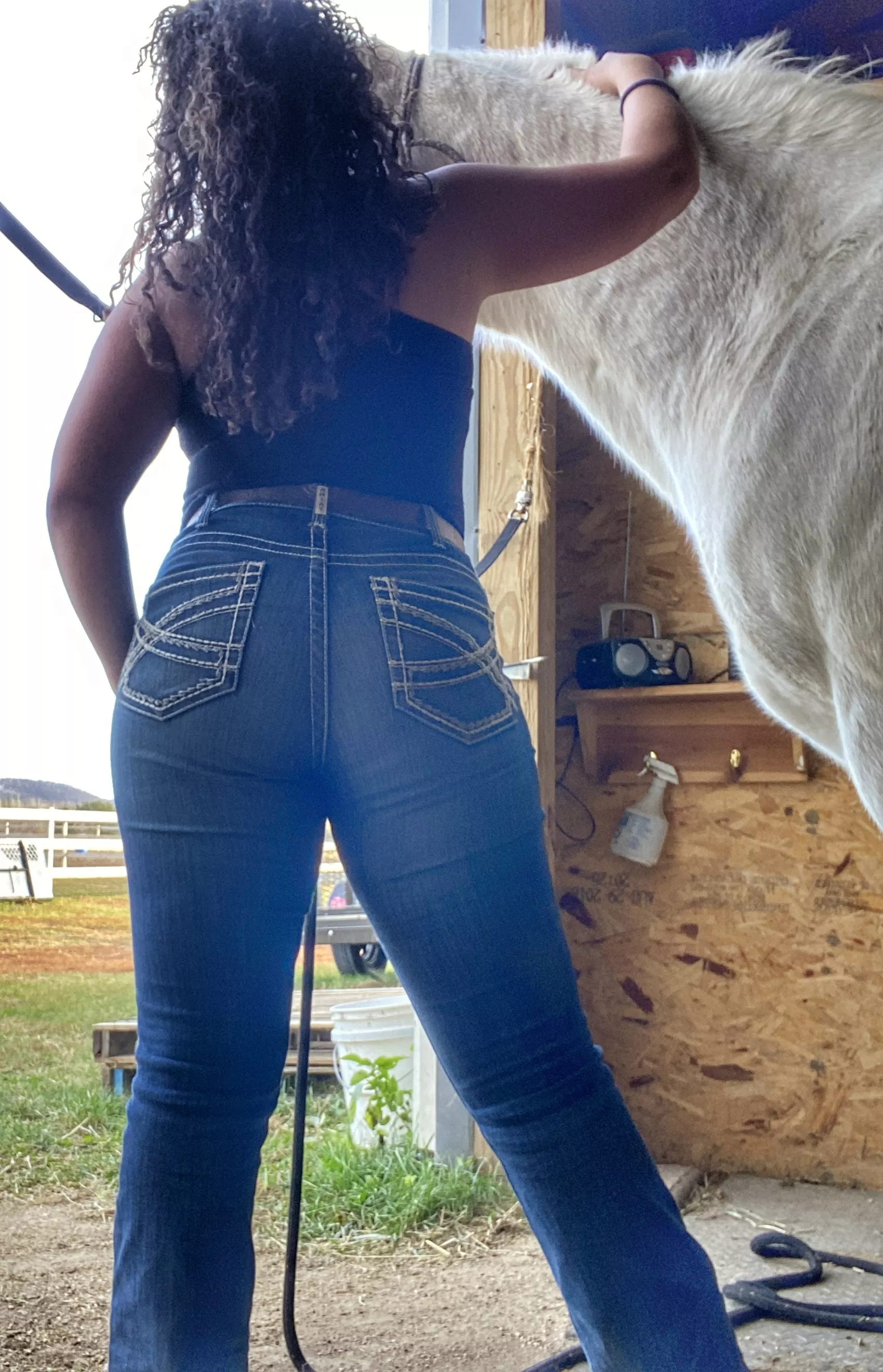 Would you like to see me training horses?