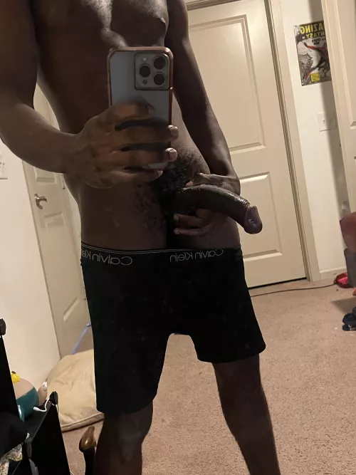 Your only purpose in life is to take black dick