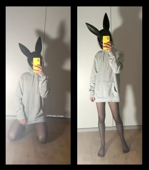 Are bunny boys welcome here too? 😅