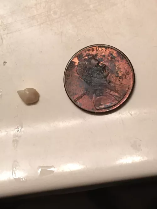 Biggest stone I’ve gotten (crusty penny for scale)