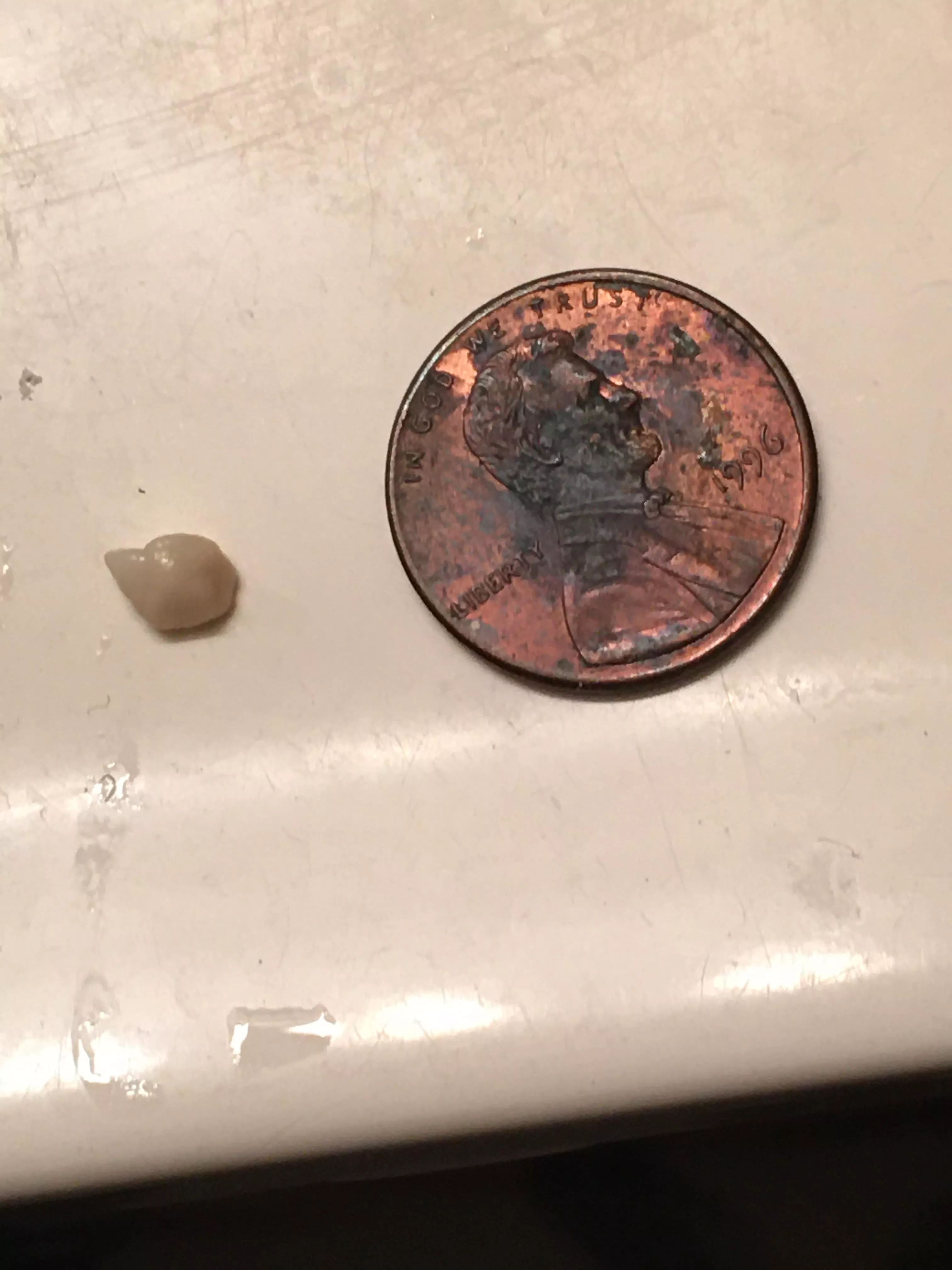 Biggest stone I’ve gotten (crusty penny for scale)
