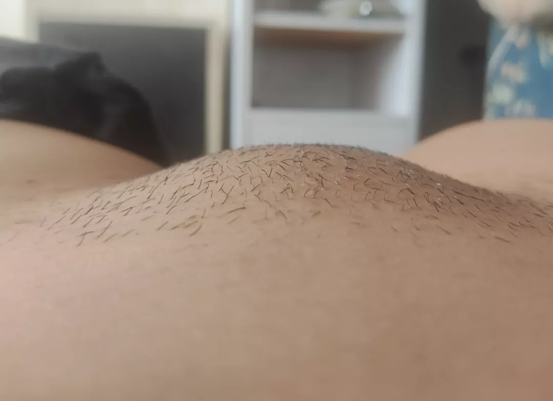 Do you mind a little hair?