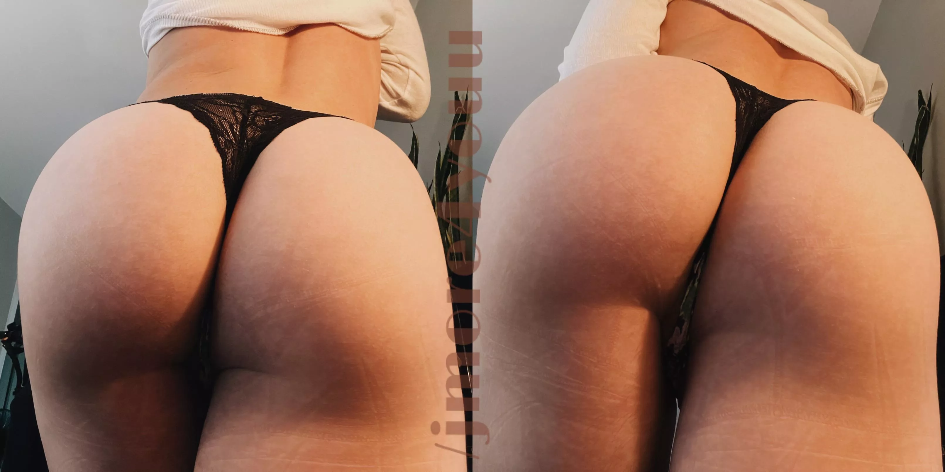 does my ass look better than your girlfriends?