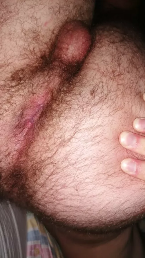 does this young hairy ass deserve to reach 500 followers on Reddit? 🥺🐻