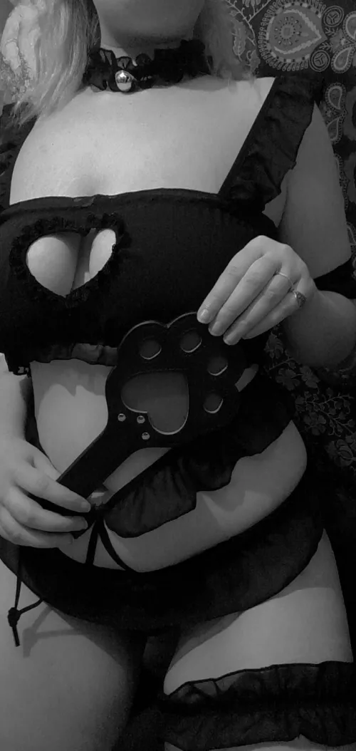 every kitty needs a paw paddle ^-^