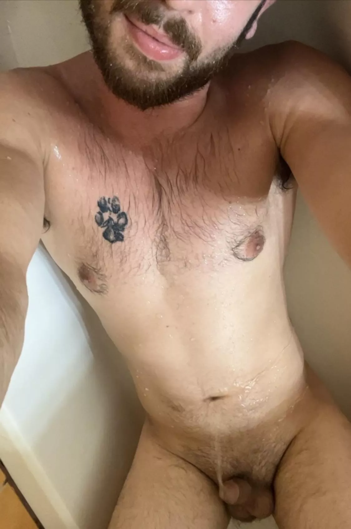 Heyyy lemme be your toilet, thanks :)