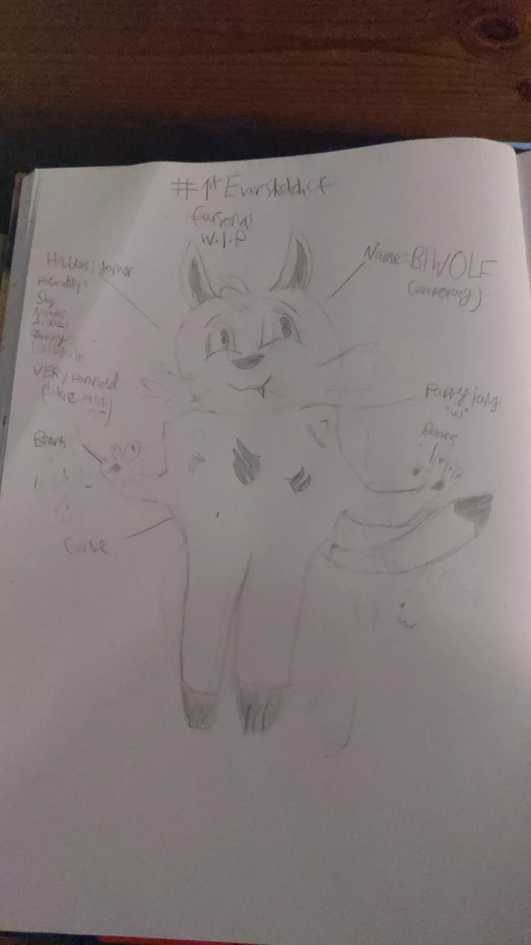 Hi! this is my first ever pencil sketch of my fursona! please note ik it's bad and I was drawing it while tired and through migraine ;w;. lemme know what u think!