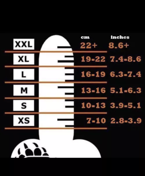 Let’s see who’s the alpha cock!