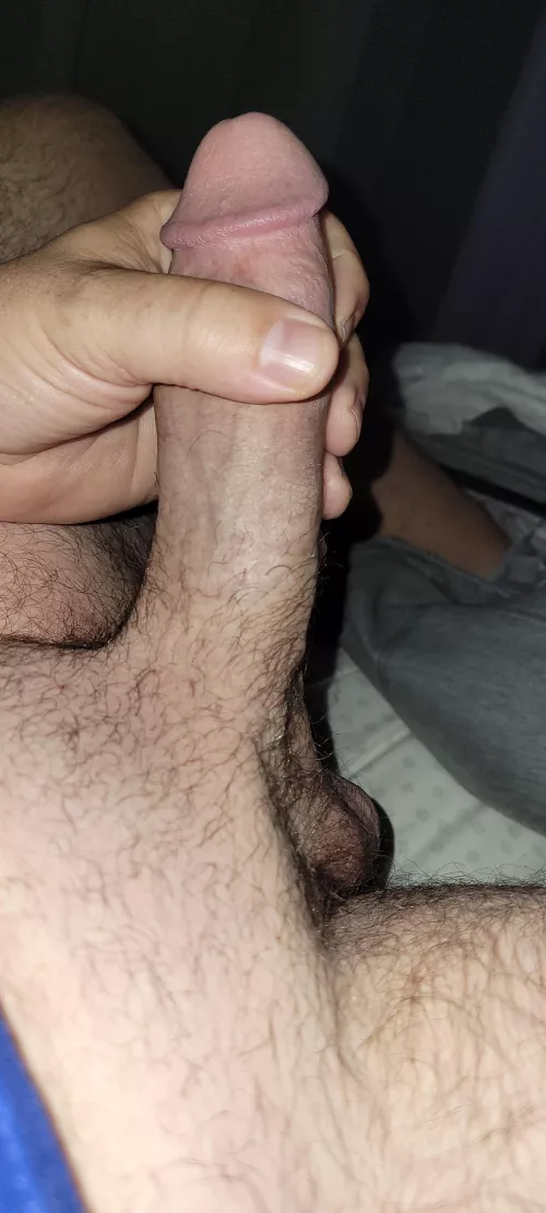 my cock needs a mouth to fuck