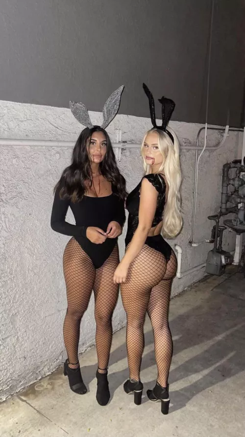 🐇 or 🐇❓