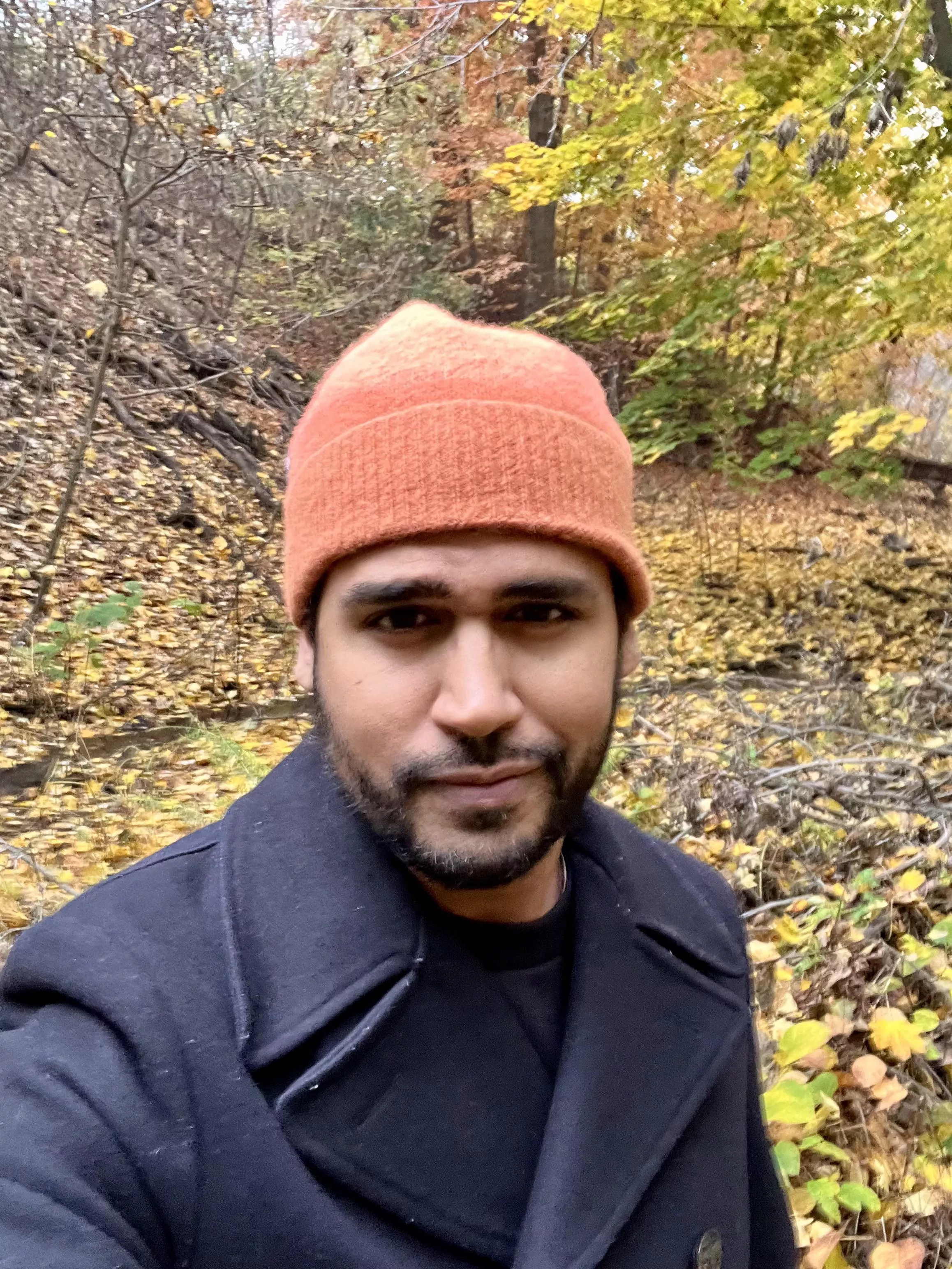 Out for a lil walk 🇨🇦