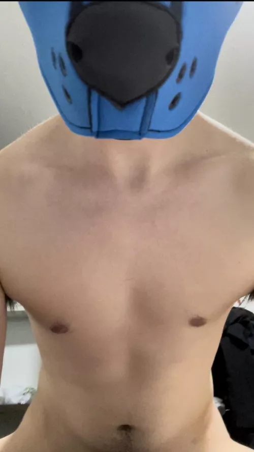 POV: I’m pounding your hole because I’m a good subby puppy and I want you to be pleased