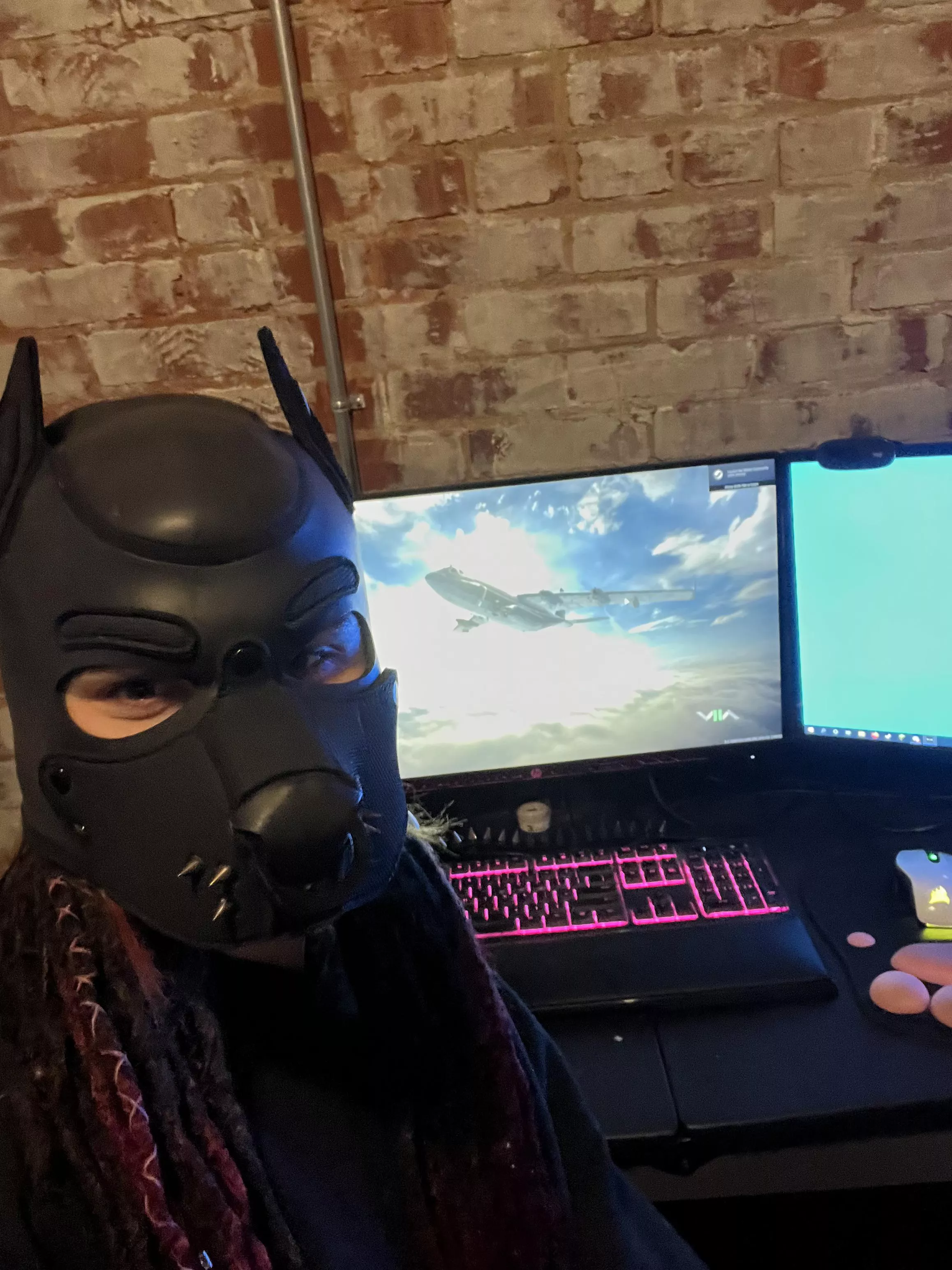 Puppy got the new modern warfare!!