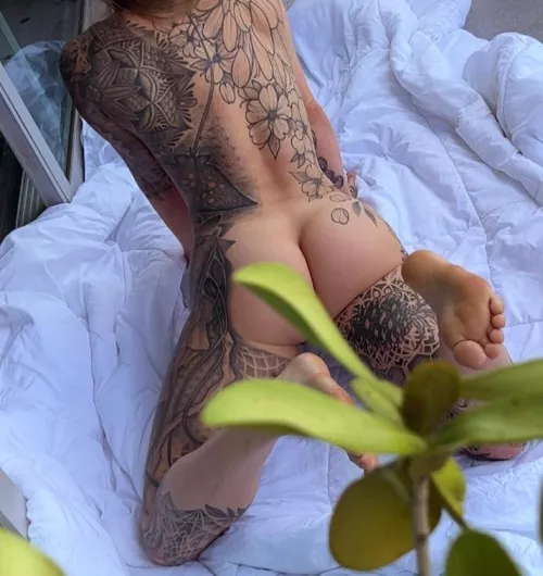 Taking care of some of my plants