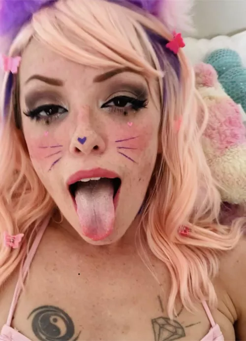 the face of an elated kitten