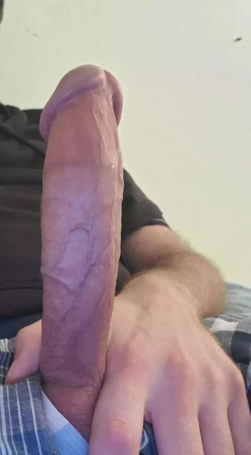 think you could take it all?