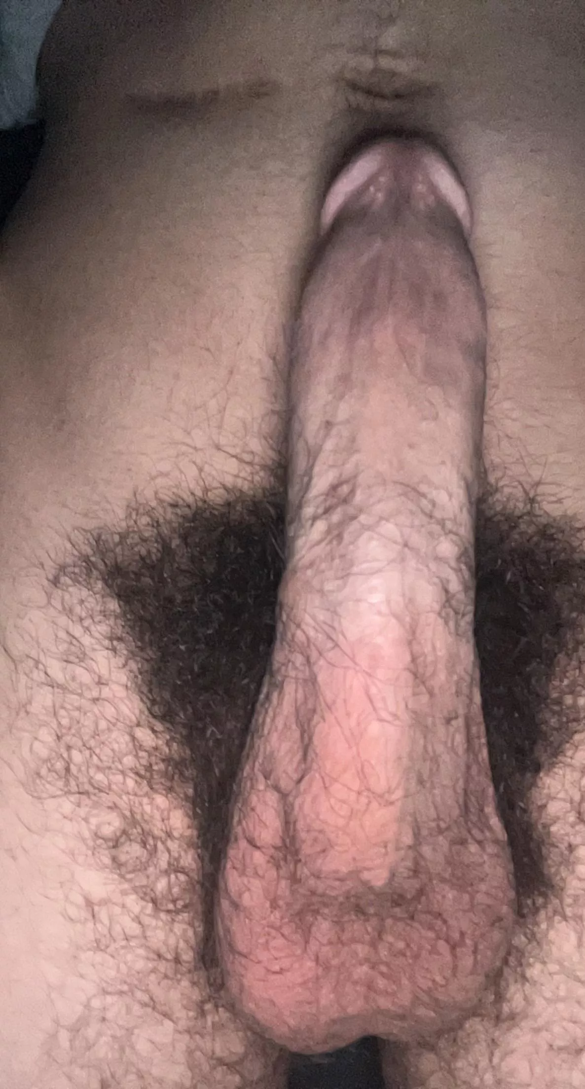 Wild pubes lol