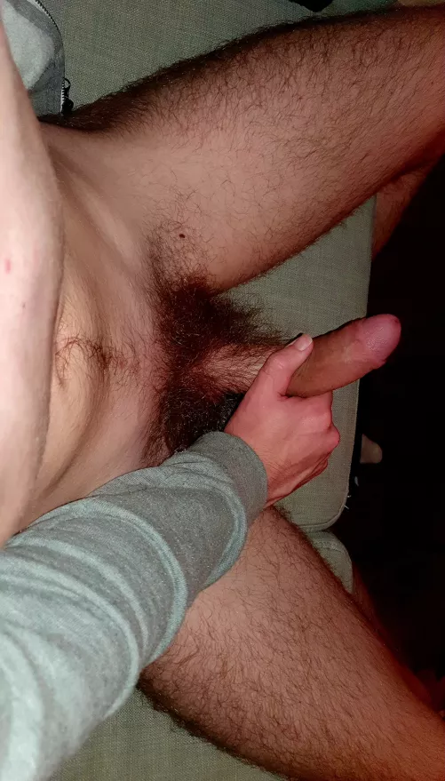 Would you suck my hairy cock?