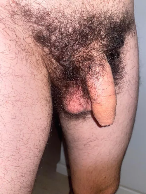 27. My softie. What do you think? Want your comments. Want to see more?