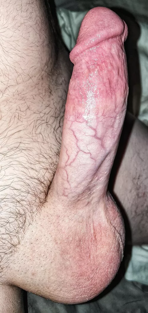 [33] Thick, Throbbing, Ready For Bobbing 🍆