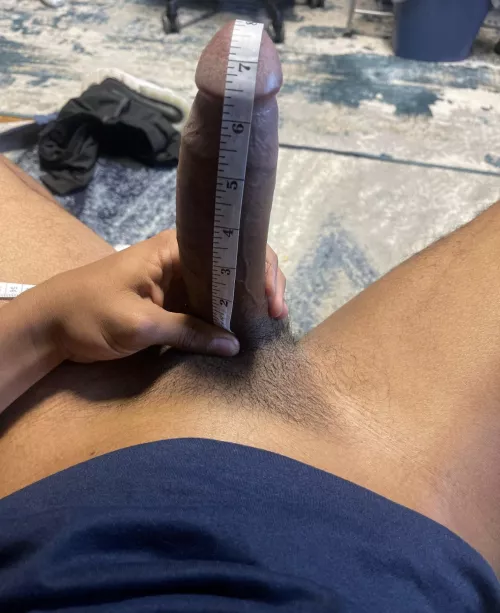 About how big is this