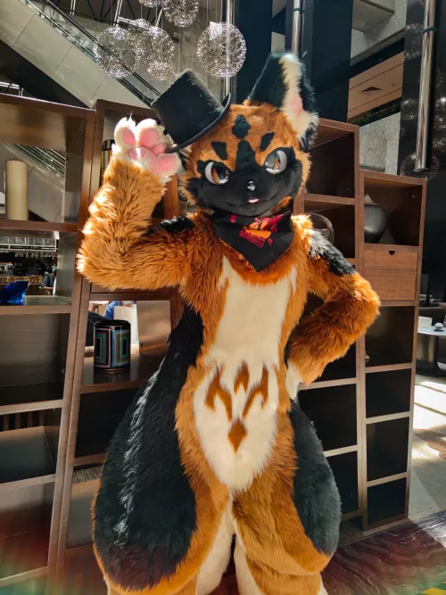 @austin35623103 on Twitter