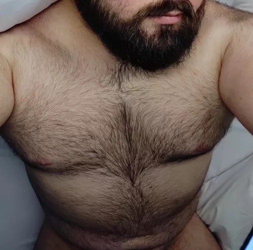 Bear enough for here ?