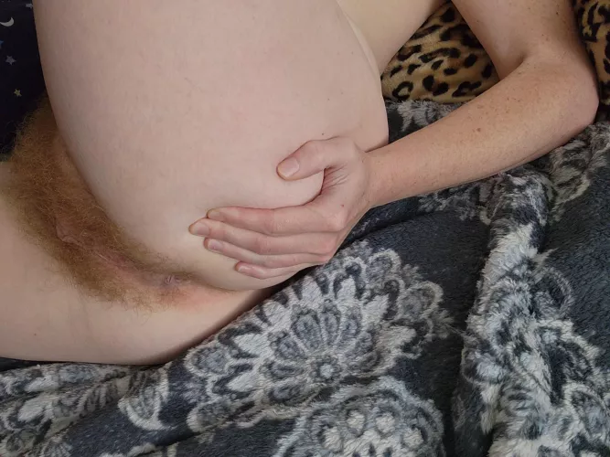 Bush all the way back