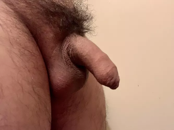 Bush progress! Getting there