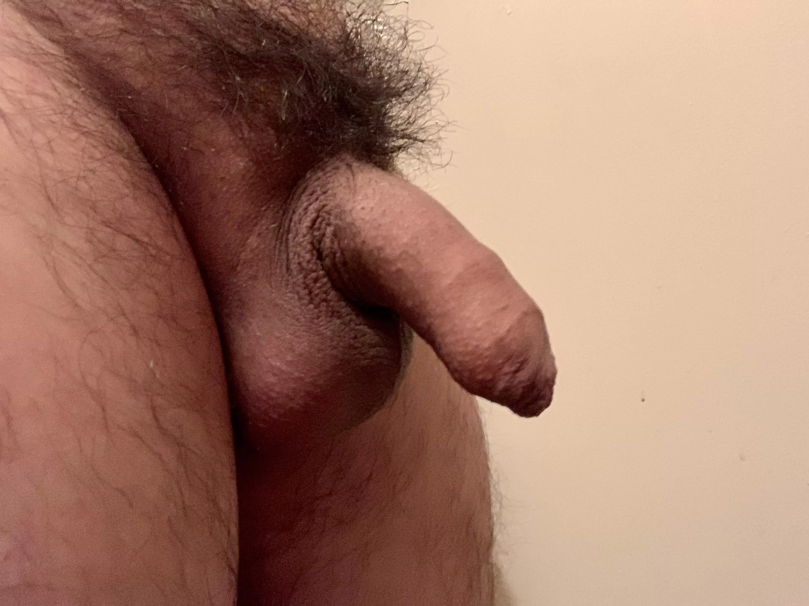 Bush progress! Getting there