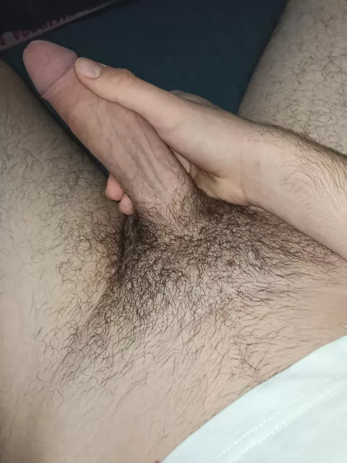 can anyone humiliate my dick?